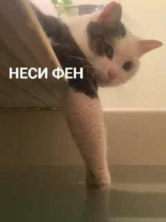 Стикер Четвёртый нахой - 9