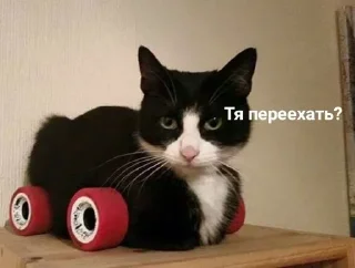 Стикер Четвёртый нахой - 2