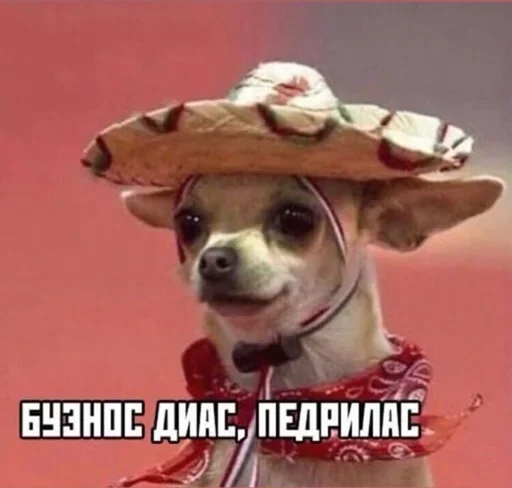 Стикер Sppspsodjsbw - 1