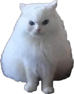 Стикер Житьє - 6