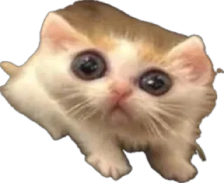 Стикер Житьє - 3