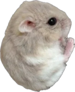 Стикер Житьє - 4