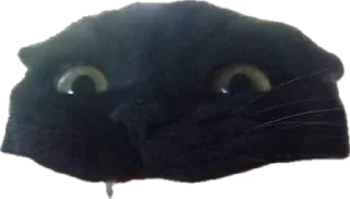 Стикер Житьє - 7