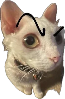 Стикер Житьє - 1