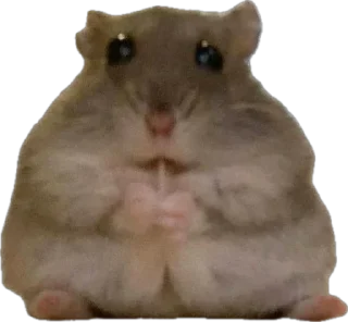 Стикер Житьє - 5