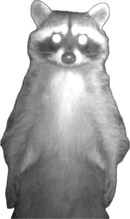 Стикер Житьє - 8