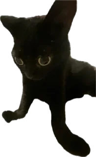 Стикер Житьє - 9