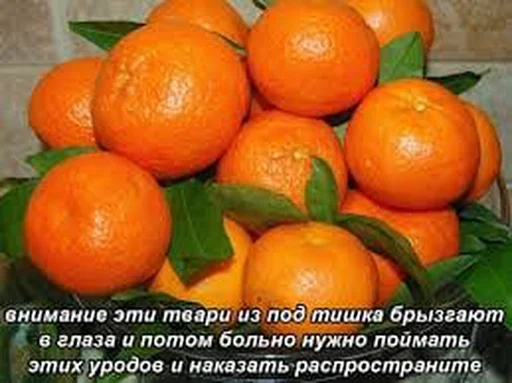 Стикер Распространите! | by @uffchat - 4