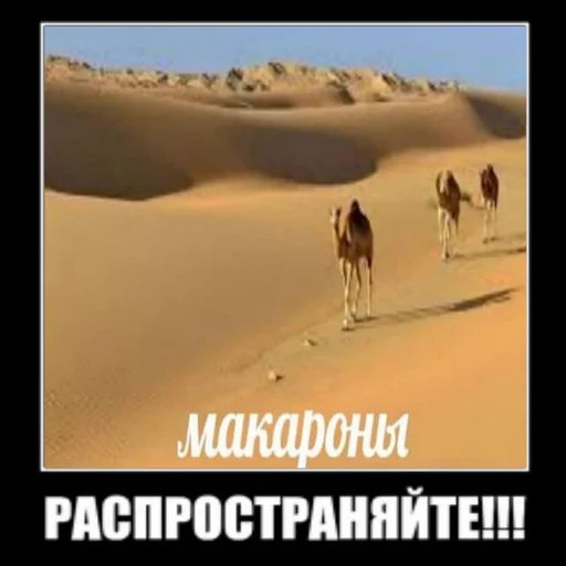 Стикер Распространите! | by @uffchat - 3