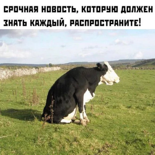 Стикер Распространите! | by @uffchat - 2