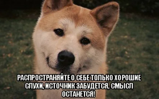 Стикер Распространите! | by @uffchat - 0