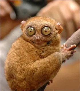 Sticker Пиздец @Stikerhi_bot - 7