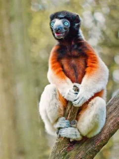 Sticker Пиздец @Stikerhi_bot - 4