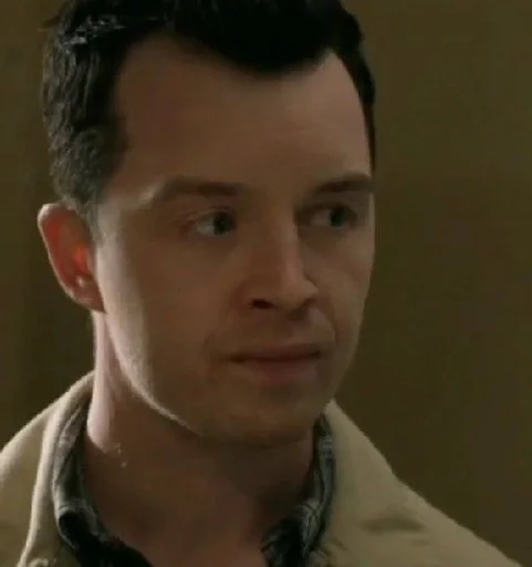 Человек человеческое лицо бровь