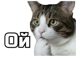 Sticker СпутниКот by ЧТП - 11