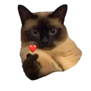 Sticker СпутниКот by ЧТП - 2