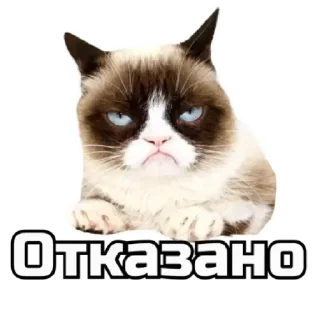 Sticker СпутниКот by ЧТП - 8