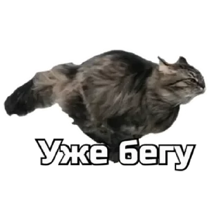 Sticker СпутниКот by ЧТП - 9