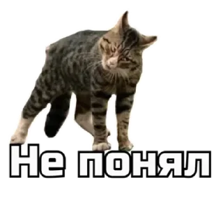 Sticker СпутниКот by ЧТП - 10