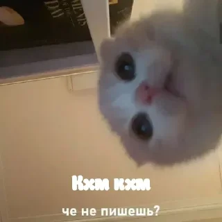 Sticker @stikerk877 - 4