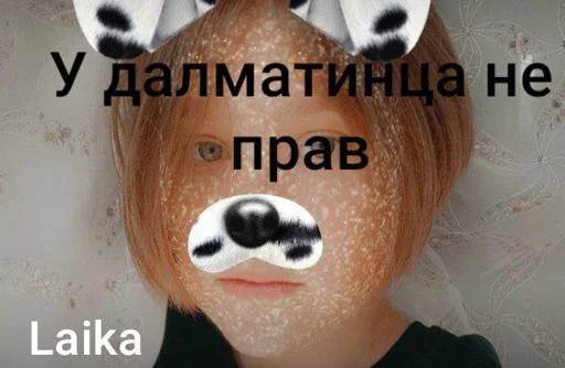 Волчара @Shrifty_textbot - 