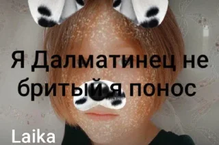 Sticker Волчара @Shrifty_textbot - 2