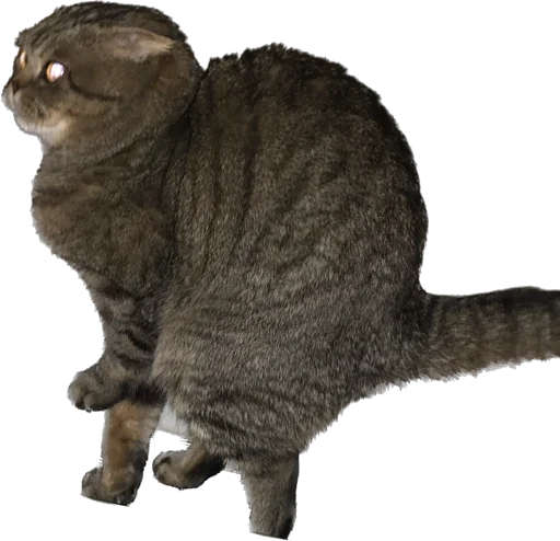 Sticker SquadIzKostromy - 1