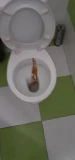 Sticker Deniskapipiska-tank)) @Tgthemesrobot - 3