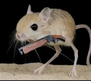 Sticker 🍁Стики Солнышка @Stikerhi_bot - 3