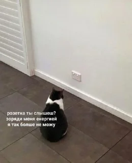 Стикер Мемно 😂 @Tgthemesrobot - 9