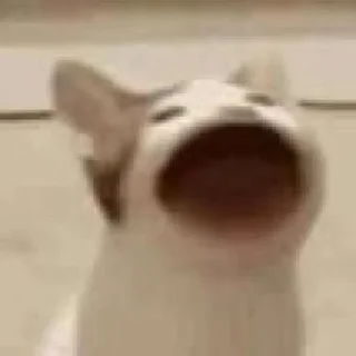 Стикер Мемно 😂 @Tgthemesrobot - 2