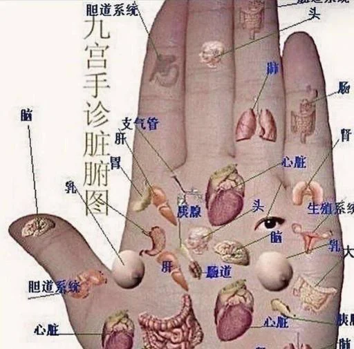 Стикер SrbwHM2wDK_by_Sticersi_bot - 1