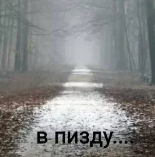 Sticker гэтдум @Sticersi_bot - 1