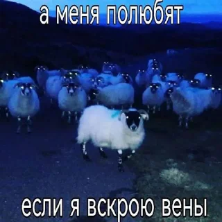 Sticker гэтдум @Sticersi_bot - 7