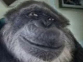 Sticker Имба монки - 6