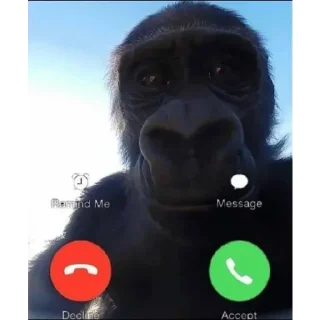 Sticker Имба монки - 9