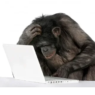 Sticker Имба монки - 1