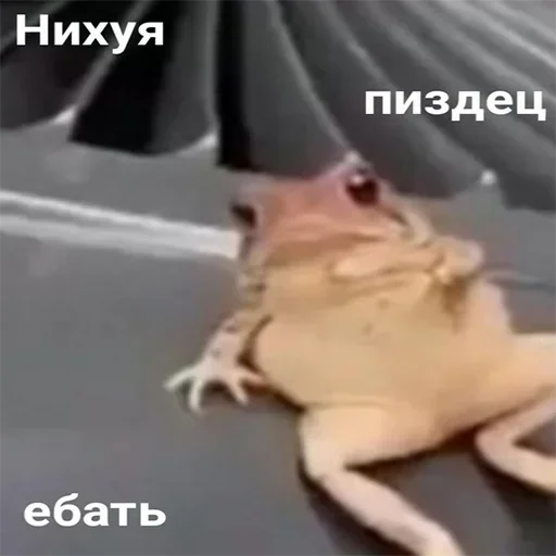 Больше стикеров: @sticerru - 