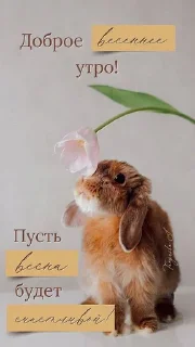 Sticker ДУ СН - 0