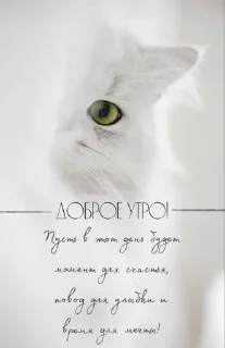 Sticker ДУ СН - 10