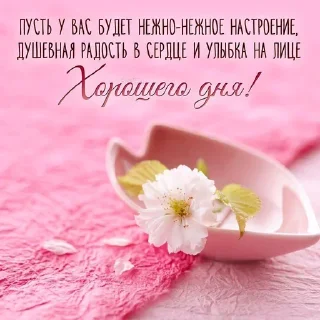 Sticker ДУ СН - 5