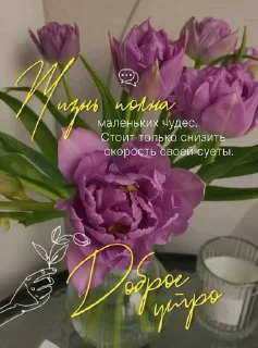 Sticker ДУ СН - 3