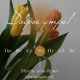 Sticker ДУ СН - 4