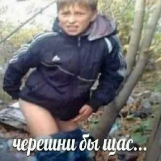 Стикер Nikolaj vorobej @ThemesRobot - 5