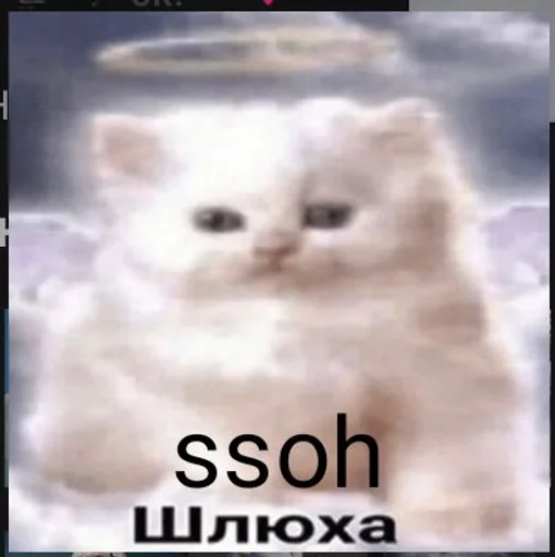 Мы дебилы :: @fStikBot - 