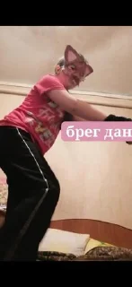 Sticker ☺️Печенька🐾 @g0roskopsbot - 10