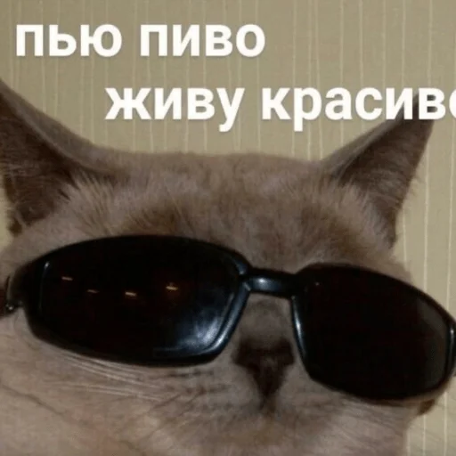 Стикер 🥲 - 5