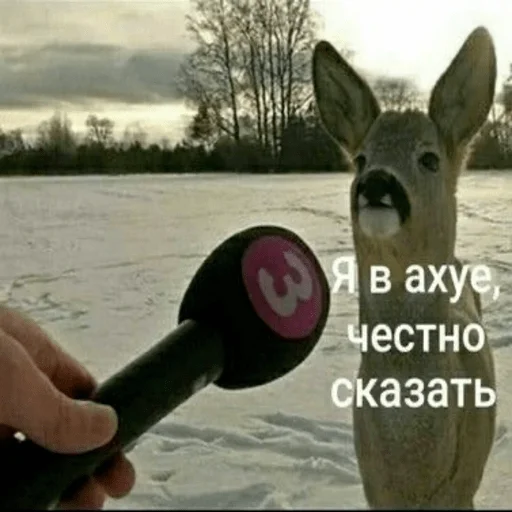 Стикер 🥲 - 2