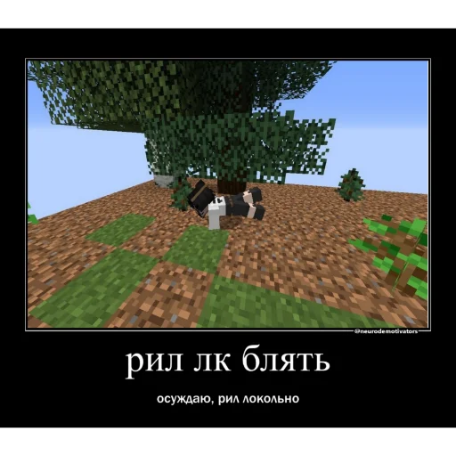 небо дерево скриншот