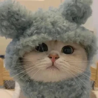 Стикер Я заебалась создавать новые стикеры - 2